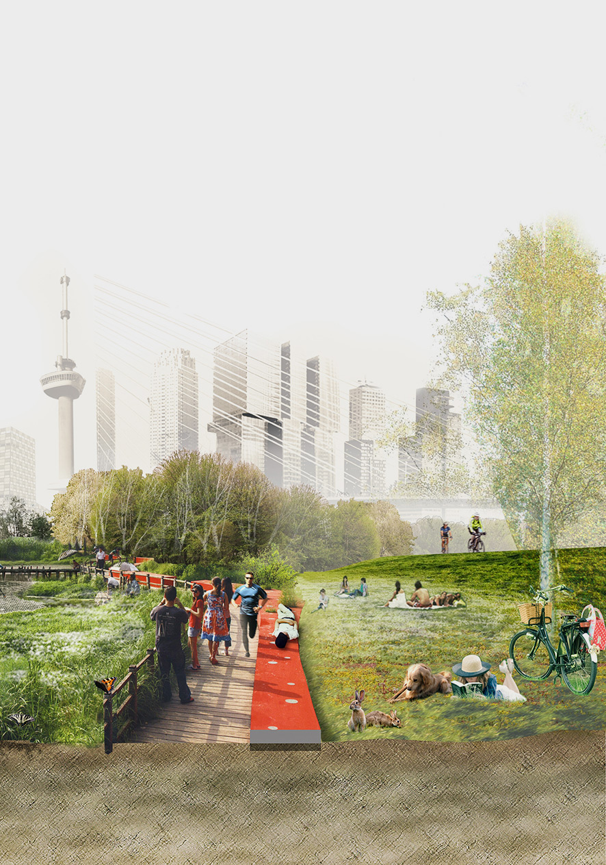 Building with Nature is the solution